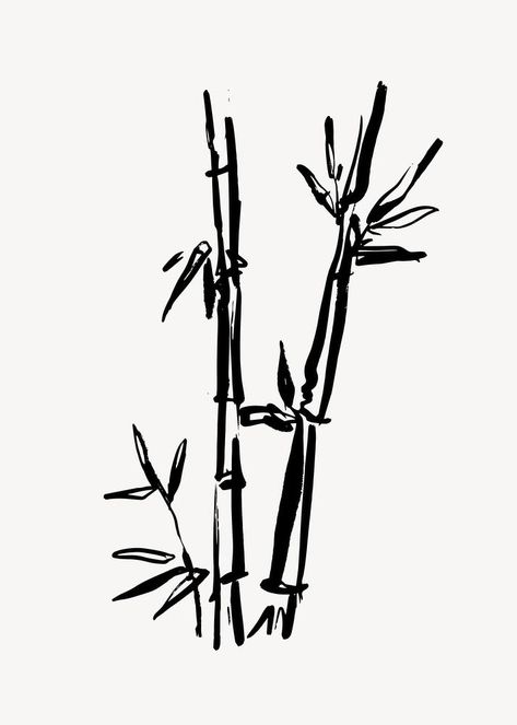 Chinese Bamboo Tattoo, Bamboo Line Art, Chinese Brush Art, Chinese Line Art, Bamboo Aesthetic, Vietnam Pattern, Bamboo Illustration, Bamboo Drawing, Brush Illustration