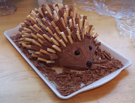 Porcupine Cake, Hedgehog Cake, 8th Birthday Cake, A Hedgehog, Baking Business, Breakfast Dessert, Fancy Cakes, Birthday Cake Kids, Cute Cakes