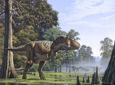 Walking With Dinosaurs, Prehistoric Wildlife, Prehistoric Dinosaurs, Dinosaur Pictures, Prehistoric World, Jurassic World Dinosaurs, Ancient Animals, Illustration Photo, Paleo Art