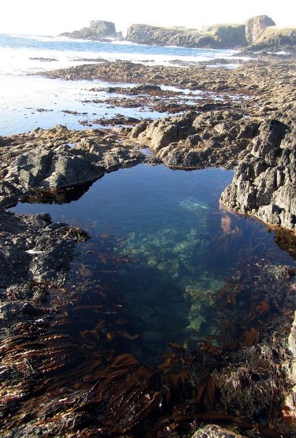 Rock pools Rock Pools Aesthetic, Rock Pools Beach, Rock Pool Aesthetic, Dark Nautical, Lily Core, Water Board, Watercolor Beach, Rock Beach, Tide Pool