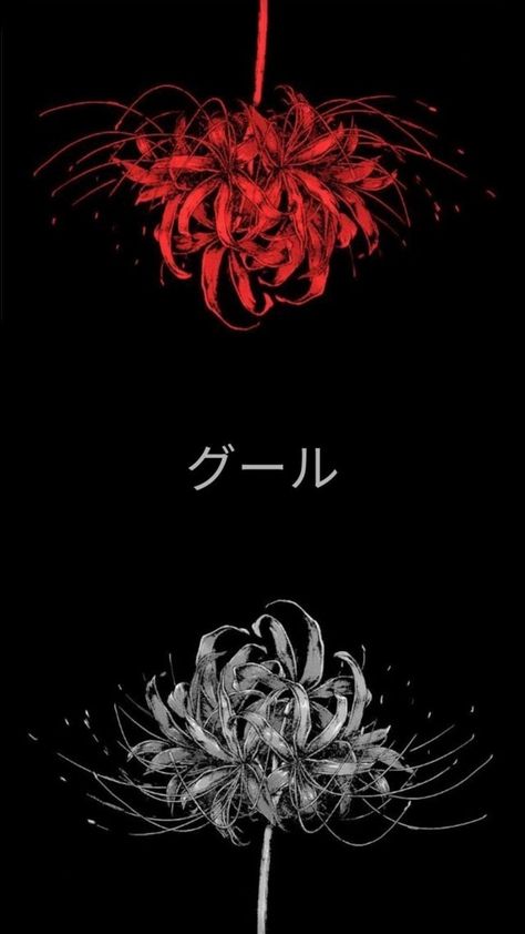 Spider Lily Lockscreen, Red Spider Lily Wallpaper Anime, Purple Spider Lily Wallpaper, Red Spider Lily Wallpaper, Red Spider Lily Background, Black N Red, Matching Tats, Red Spider Lily, Lily Wallpaper