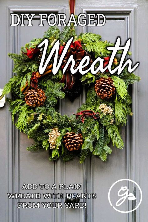 A foraged Christmas wreath combines the tones of nature with modern decorations. Read on to learn how to make a beautiful evergreen wreath. Live Evergreen Wreath, Foraged Wreath Diy, Evergreen Wreaths For Christmas Diy, Natural Christmas Wreaths Diy, Evergreen Wreaths For Christmas, Making A Christmas Wreath, Foraged Christmas Wreath, Foraged Christmas, Diy Nature Decor