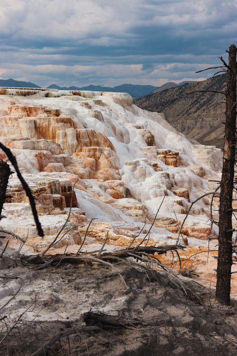 Yellowstone National Park Yellowstone Park National parks in the USA Wyoming national parks Geysers in Yellowstone Old Faithful wildlife attractions camping hiking trails Grand Prismatic Spring Lamar Valley waterfalls tours lodges Yellowstone weather Best time to visit Yellowstone Yellowstone vacation Things to do in Yellowstone geology hot springs photography backcountry bison bears wolves family activities road trip travel tips Hot Springs Yellowstone, Yellowstone Old Faithful, Casper Wyoming Things To Do In, Yellowstone National Park Aesthetic, Yellowstone Aesthetic, Yellowstone National Park Photography, Yellowstone Photography, Yellowstone Winter, Things To Do In Yellowstone