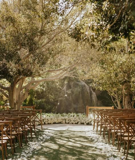 Botanica Wedding, Forest Theme Wedding, Dream Wedding Decorations, Garden Wedding Inspiration, Dream Wedding Venues, Future Wedding Plans, Dream Wedding Ideas Dresses, Wedding 2024, Wedding Mood Board