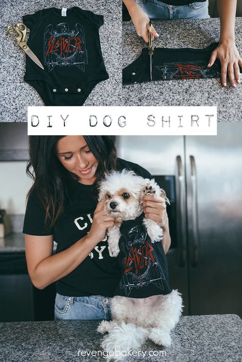 Dog Shirt Ideas For Dogs, Diy Dog Outfits Easy, Easy Diy Puppy Clothes, Diy Dog Onsie, Diy Dog Tshirt, Dog Clothes Closet Diy, How To Make Puppy Clothes, Diy Dog Shirt From Tshirt No Sew, Tshirt For Dogs Diy