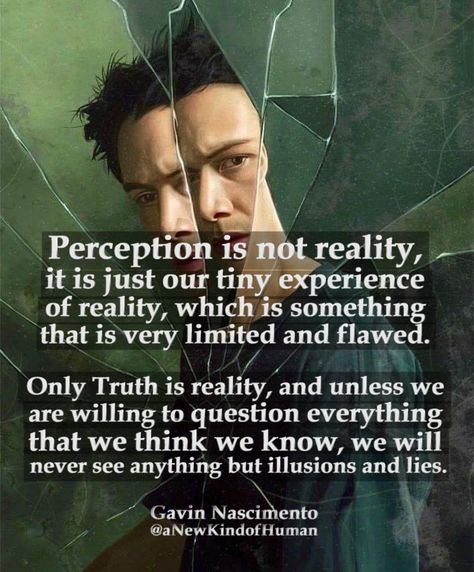 Perception is not reality, it is just our tiny experience of reality, which is something that is very limited and flawed.   Only Truth is reality, and unless we are willing to question everything that we think we know, we will never see anything but illusions and lies.   — Gavin Nascimento   #perception #matrix #deepthoughts #quotes Matrix Quotes, Illusion Quotes, Perception Reality, Matrix Theory, Perception Quotes, There Is No Spoon, Question Everything, Knowledge And Wisdom, Philosophy Quotes