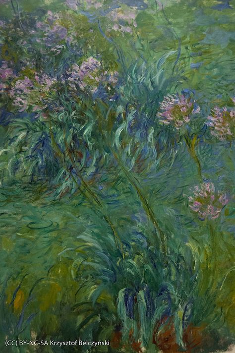 MoMA | Museum of Modern Art Monet Agapanthus, Monet Poster, Claude Monet Paintings, Franz Marc, Monet Paintings, Oil Painting For Sale, Framed Oil Painting, Oil Painting Reproductions, Painting Reproductions