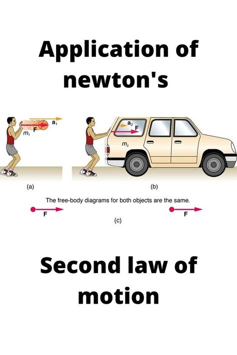 Newton Second Law Of Motion, Animal Cell Project, Newton's Second Law, Cell Project, Laws Of Motion, Cells Project, Electric Charge, Body Diagram, Freedom Fighter