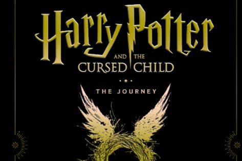 New Book on Harry Potter and the Cursed Childs Making to Release in India on Nov 1 Harry Potter Cursed, Harry Potter Cursed Child, The Cursed Child, Roman Republic, Cursed Child, Book List, Top Movies, Nov 1, Wizarding World