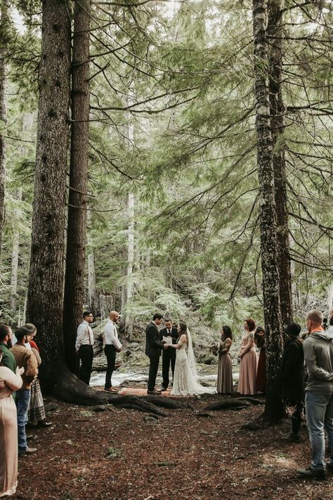 Small Private Wedding, Forest Wedding Ceremony, Romantic Wedding Receptions, Mt Hood, Elopement Ceremony, Wedding Photography Poses, Princess Wedding, Forest Wedding, Elopement Inspiration