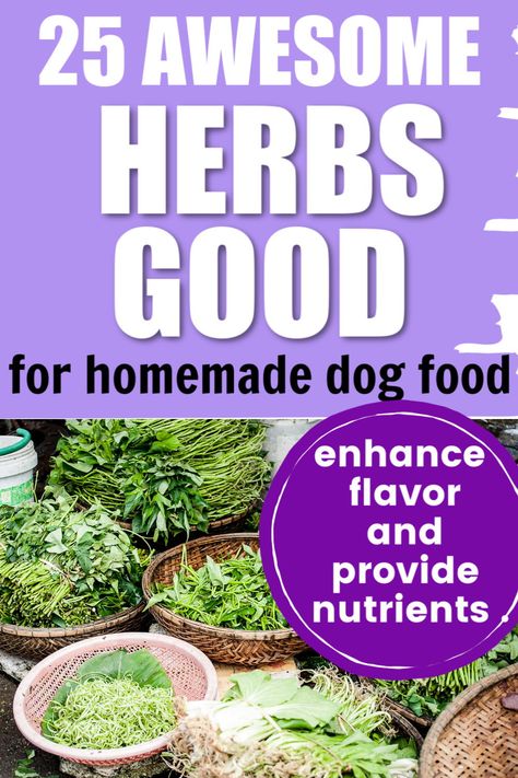 Nutritional Dog Food Recipes, Herbs Good For Dogs, Pet Diys, Make Dog Food, Dog Breeding, Animal Food, Healthy Herbs, Food Dog, Dog Garden