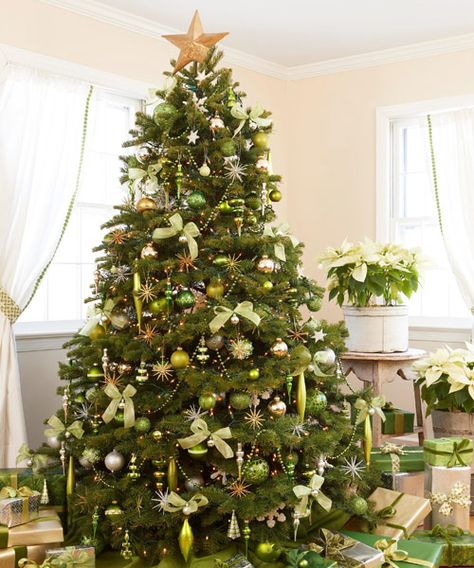 Trimmed in shimmering greens (chartreuse, celadon) and metallics (silver, gold), a twinkling Tannenbaum truly captures the limelight. Pale poinsettias in quiet containers enhance but don't upstage the palette.   - GoodHousekeeping.com Green Christmas Decorations, Green Christmas Tree Decorations, Christmas Tree Images, Gold Christmas Tree Decorations, Pretty Christmas Trees, Christmas Tree Pictures, Blue Christmas Decor, Christmas Party Themes, Elegant Christmas Trees