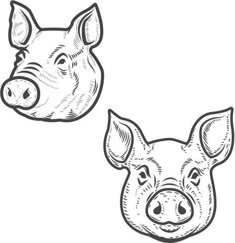 Meat Design, Pig Sketch, Pig Logo, Pig Tattoo, Pig Head, Realistic Cartoons, Pig Drawing, Pig Illustration, Funny Pigs