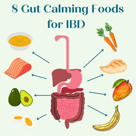 Ibd Foods To Eat, Ibd Friendly Recipes, Ibd Diet Recipes, Ibd Recipes, Ibd Diet, Calming Food, Irritable Bowel Disease, Gastric Problem, Ibs Diet