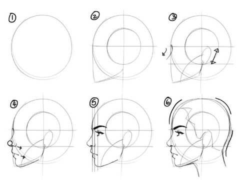 Head Anatomy Step By Step, Side Face Tutorial Drawing, Head Drawing Loomis Method, Loomis Method Head Step By Step, Step By Step Loomis Method, Head Sketch Tutorial Face Proportions, Head Structure, Loomis Method, Tips For Drawing