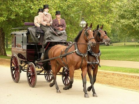 Female Driver, Horse And Buggy, Horse Carriage, Hyde Park, Wagons, Cottage Core, Vintage Photos, Places To Visit, Horses