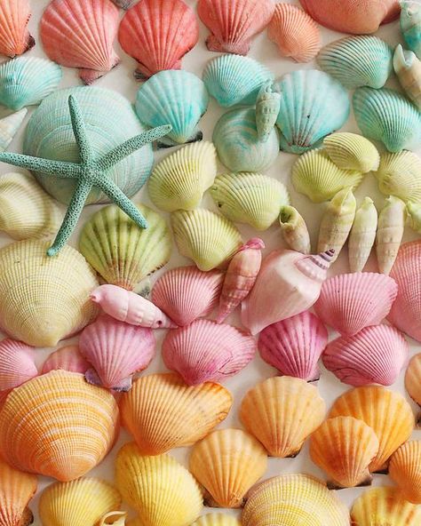 Dyeing seashells is similar to dyeing Easter eggs. This summer, you can display a keepsake from the beach at home in any color you choose. Resin Seashell Crafts, Seashell Crafts Diy, Summer Diy Projects, Seashell Projects, Art Coquillage, Shells Diy, Seashell Painting, Shell Crafts Diy, Painted Shells