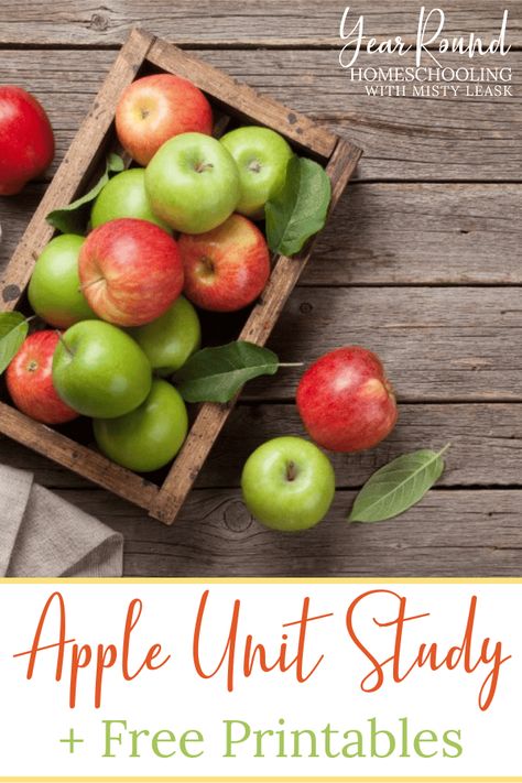 Apple Unit Study - Year Round Homeschooling Apple Unit Study, Apple Facts, Autumn Apples, Apple Kindergarten, Apple Life Cycle, Cinnamon Apple Chips, Apple Chips Baked, Apple Math, Study Printables