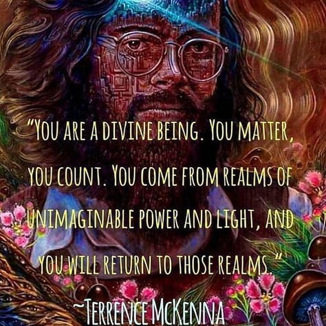 We are divine beings on a journey of realizing we are divine beings of love and light! 😊💕✨ • • • #truth #divinefeminine #divinemasculine… Trippy Quotes, Being Of Light, Human Consciousness, Timothy Leary, Terence Mckenna, Stoicism Quotes, Personal Growth Motivation, Awakening Quotes, Daily Energy