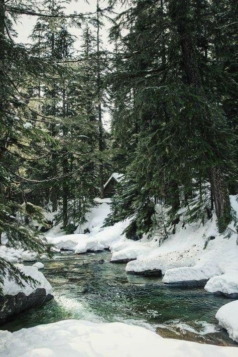 Moody Nature, Winter Nature, Winter Scenery, Winter Beauty, Winter Forest, Winter Wonder, Winter Aesthetic, Nature Aesthetic, Winter Photography