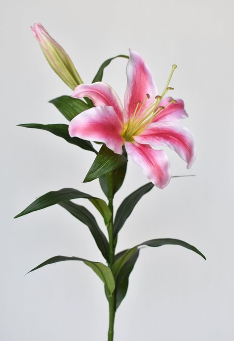 "35\" Faux Pink and White Lily Stem By Housefloral | Michaels®" Flower Identification, Lilly Flower, One Flower, Stargazer Lily, Nails Today, Year Book, Flower Bomb, Flower Therapy, Favorite Flower