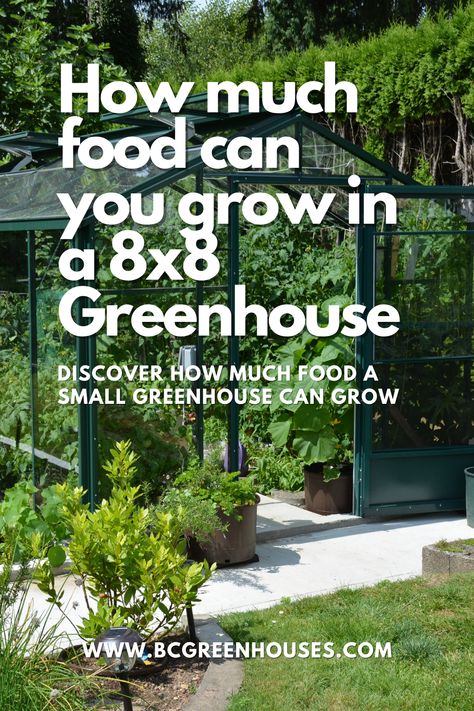 Grow House Ideas, Small Greenhouse Layout, Growing Vegetables In A Greenhouse, Greenhouse Growing Tips, 10x10 Greenhouse, Greenhouse Gardening Layout, Costco Greenhouse, Greenhouse Planting Layout, Small Greenhouse Interiors