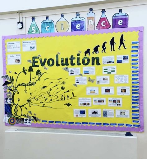 Biology Display Board Ideas, Biology Display Board, Science Boards Display Ideas Classroom, Science Display Board Ideas, Science Boards Display Ideas, Biology Chart Ideas, Biology Bulletin Board, Science Display Board, Biology Decorations