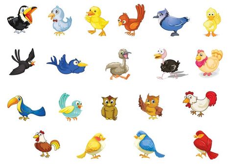 The are many different bird species in the whole world. 
Birds can either be domestic or wild. They are found in different places of the world like Africa.
Beautiful and colorful birds for children to learn and identify. #lugardlearning #earlylearning #nursery #earlydevelopment #earlychildhood #Preschool #Education #Children #kindergarten #Parenting #Preschoolers #Kids #KidsActivities #EarlyLearning #PreschoolActivities #School #Learning #EarlyLearning #ECE #EdTech Birds Activities, World Birds, School Learning, Different Birds, Preschool Education, Colorful Birds, Bird Species, Wild Birds, Early Learning