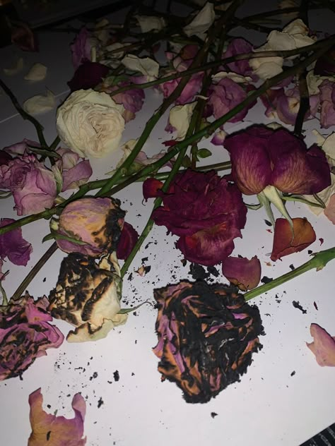 Rosecore Aesthetic, Sweetheart Aesthetic, Newspaper Wallpaper, Rose Blood, Dead Rose, Strange Flowers, Flower Picks, Black Pink Background, Affordable Skin Care