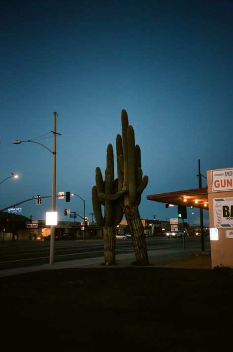 Tucson Aesthetic, Arizona Vibes, Southwestern Gothic, Desert Witch, Yucca Valley California, Small Town Aesthetic, Usa Aesthetic, Arizona Aesthetic, Altered Reality