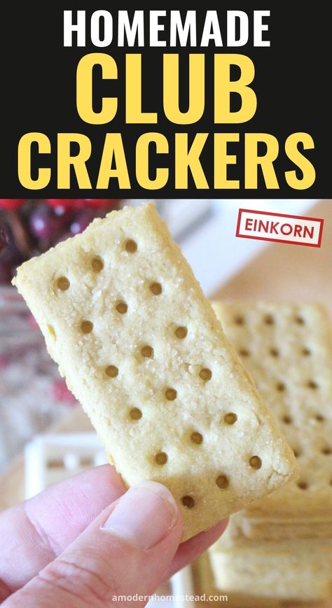 Homemade Club crackers, or butter crackers, are a simple staple recipe that can easily be added to your pantry! These homemade crackers are made with einkorn flour, but any all-purpose wheat flour can be used! Homemade Club Crackers, Homemade Butter Crackers, Winter Club, Einkorn Recipes, Club Crackers, Butter Crackers, Einkorn Flour, Homemade Pantry, Diy Snacks