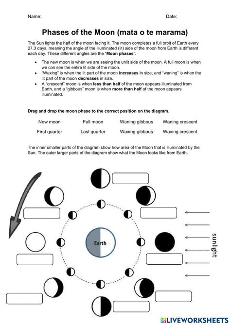 Moon Phases Lesson, Moon Phases Worksheet, Big Universe, Homeschool Worksheets, Phases Of The Moon, Moon Face, Literacy Skills, Grade 4, School Subjects