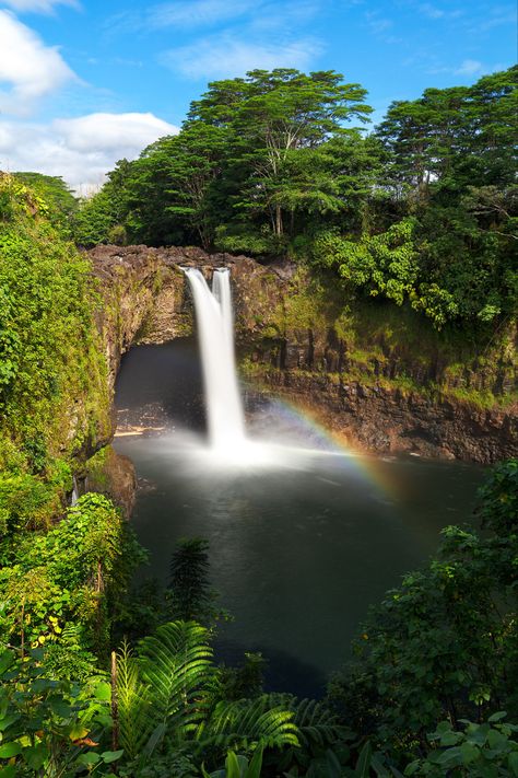 Here is a classic view of Rainbow Falls in the morning. Many tourists ask me why they never see a rainbow here. Show up early, I tell them! If the sun rises too high, the rainbow is no longer going to be there. Show up early, and you will most likely be lucky enough to see the rainbow that gives this waterfall its name. Rainbow Falls is located on the Big Island of Hawaii in the city of Hilo. Big Island Volcano, Kona Island, Hawaii Waterfalls, Hawaii Landscape, Rainbow Waterfall, Hawaii Adventures, Hawaii Photography, Rainbow Falls, The Sun Rises