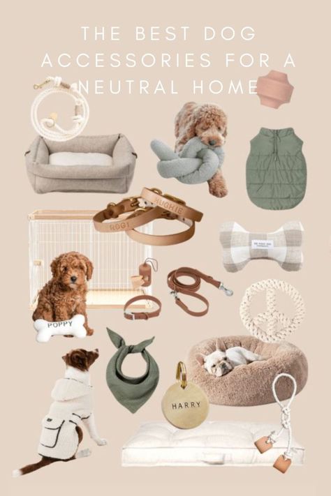 the best dog accessories for a neutral home Toy Dog Accessories, Dog Toys For Small Dogs, New Puppy Essentials, Cute Dog Essentials, Dog Neccesities, Cute Dog Accessories Dog Supplies, Boho Dog Accessories, Dog Mom Essentials, Dog Must Haves Products