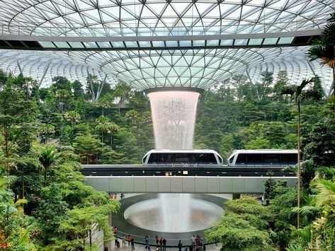 Jewel of Changi Airport | Singapore Changi Airport | Flickr Airport Architecture, Singapore Airport, Moshe Safdie, Singapore Changi Airport, Changi Airport, Indoor Waterfall, Sunflower Garden, Trees Nature, City Pictures