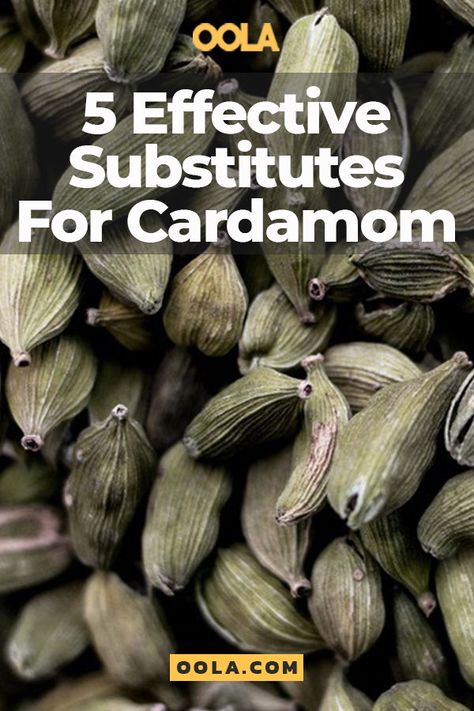 5 Effective Substitutes For Cardamom Substitute For Cardamom, Allspice Substitute, Ginger Substitute, Chai Spice Mix, Salt Seasoning, Homemade Spice Mix, Homemade Mixes, Food Substitutions, Low Carb Sweets