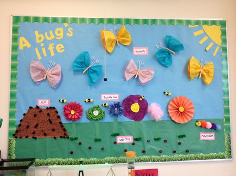 Montessori, Insects Theme Classroom, Ladybug Bulletin Boards, Classroom Decor Preschool, Garden Theme Classroom, Bulletin Boards Theme, Preschool Boards, Insects Preschool, Bugs Preschool