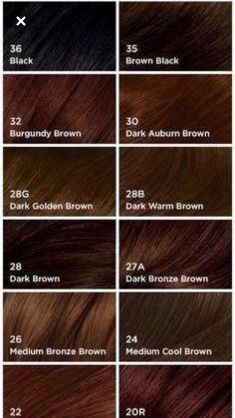 Bronze Brown Hair, Medium Ash Brown, Medium Golden Brown, Auburn Brown, Light Auburn, Dark Auburn, Light Golden Brown, Ash Brown, Caramel Brown