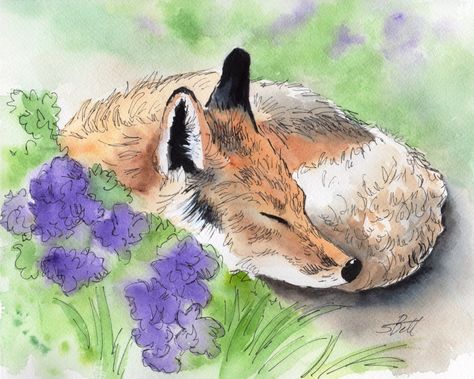 Creating with Line and Wash - Samantha Bell Line And Wash, A Line Drawing, Watercolor Paintings Of Animals, Pen And Wash, Watercolor Beginner, Draw Cute, Fox Painting, Pen Art Drawings, Watercolor Books