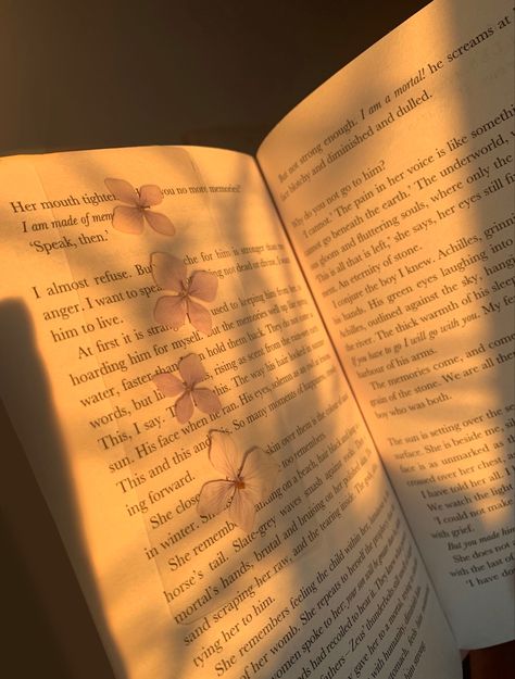 Golden Book Aesthetic, Book Aesthetic Yellow, Golden Hour Book Aesthetic, Yellow Book Aesthetic, Tsoa Aesthetic, Romanticizing Reading, Midway Movie, Huffle Puff, Notion Ideas