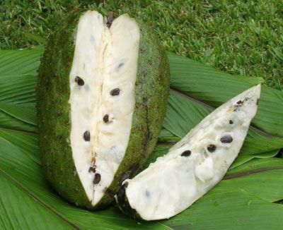 Guanabana. OMG! another delicious fruit grown in Cuba, which makes an amazing smoothie! Soursop Fruit, Sweet Smoothies, Funny Fruit, Colombian Food, Cuban Recipes, Green Fruit, Exotic Fruit, Tropical Fruits, Delicious Fruit