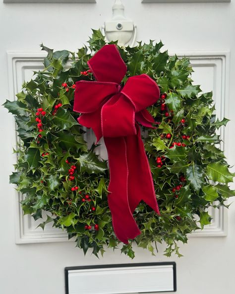 Nothing beats the classic Holly Door wreath with our iconic Red Velvet bow #Christmas #christmastree #christmasadvent #adventcandles #adventwreath #Christmas wreath #tablecentrepiece #holidayseason #chrimstmastime #christmasflowers #Christmasflorist #christmasflorals #christmasfloralarrangement #christmasfloristry #autumn #doorwreath #doorwreathsmakeprettydoors #doorwreathsofinstagram #autumndecor #autumnvibes #autumndoorwreath #foliage #foliagedoorwreath Velvet Bow Christmas, Christmas Floral Arrangements, Door Wreaths Fall, Advent Candles, Advent Wreath, Bow Christmas, Christmas Flowers, Velvet Bow, Christmas Advent