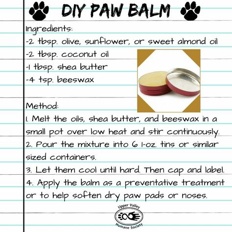 Dog Paw Cream, Paw Cream, Dog Paw Care, Dog Balm, Dog Paw Balm, Cream Dog, Best Dog Shampoo, Pet Remedies, Meds For Dogs