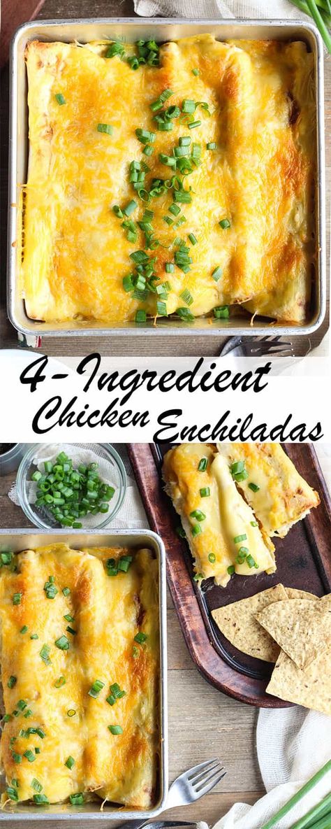 4 Ingredient Chicken, Enchiladas Chicken, Mexican Enchiladas, Easy Chicken Enchilada Recipe, Cheesy Chicken Enchiladas, Chicken Enchiladas Easy, Easy Chicken Dinner Recipes, Pot Luck, Chicken Enchilada