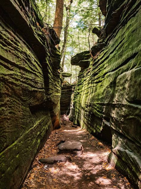 Hiking in Ohio: the Best Cuyahoga Valley National Park Trails — Adrift Aesthetic Nature, Wayne National Forest Ohio, Hiking Trail Aesthetic, Hiking In Ohio, Ohio Aesthetic, Ohio Hiking, American Roadtrip, Brandywine Falls, Cuyahoga Valley National Park