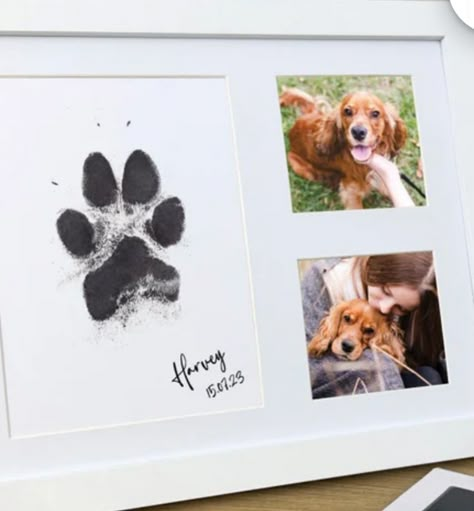 Pet Keepsake Ideas Diy, Dog Keepsake Ideas, Paw Print Ideas, Dog Paw Print Craft, Dog Art Diy, Paw Print Crafts, Dog Shadow, Dog Shadow Box, Pet Memorial Ideas