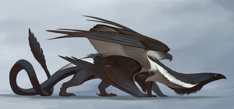 ArtStation - Dragon concept Raven Dragon, Mythical Creature Art, Dragon Concept, Dragon Poses, Dragon Monster, Mythical Creatures Fantasy, Dark Fantasy Artwork, Creature Artwork, Dragon 2