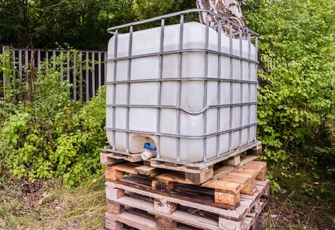 IBC totes have a lot of uses on a farm or homestead – it’s all about  being aware of their benefits so you can make them work for you. Downspout Diverter, Roll Roofing, Totes Ideas, Pond Liner, Water Container, Pressure Treated Wood, Water Containers, Plastic Container Storage, Pallet Garden