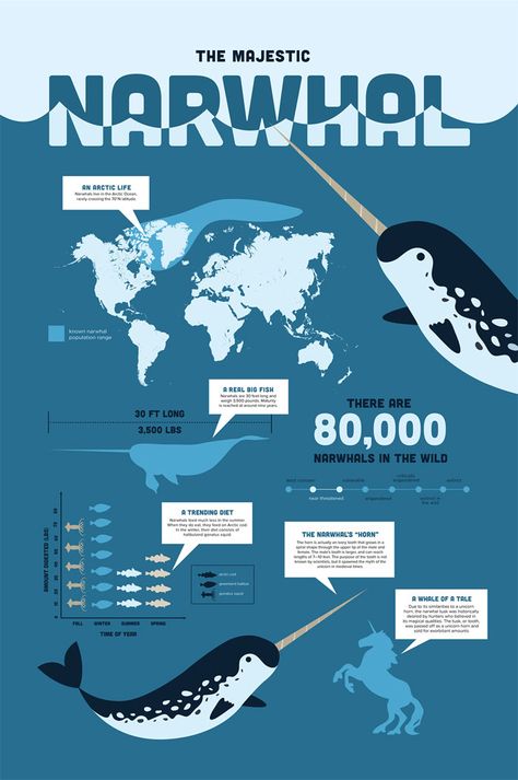 fd065a15654523.56b6b048dd51 Infographic Examples And Ideas On How To Make Them Animal Information Poster, Ocean Infographic Design, Animal Infographic Design, Ocean Infographic, Ocean Facts, Info Poster, Animal Infographic, Infographic Examples, Ocean Unit