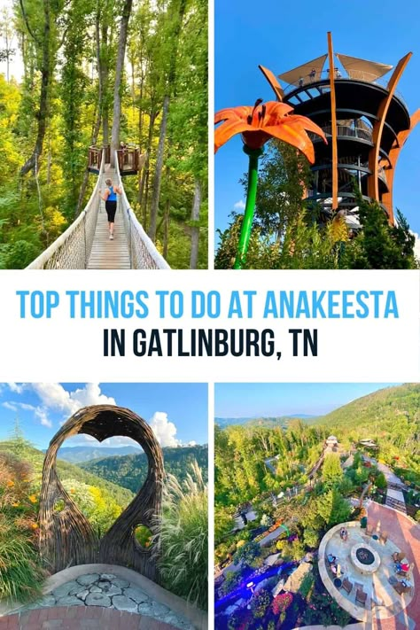 Sevierville Tn Things To Do, Trip To Tennessee, Gatlinburg Tennessee Anakeesta, Gatlinburg Tennessee Summer, Anakeesta Gatlinburg Tn, Trip To Gatlinburg Tennessee, Things To Do Gatlinburg Tn, Gatlinburg Family Vacation, Gatlinburg Tennessee In March